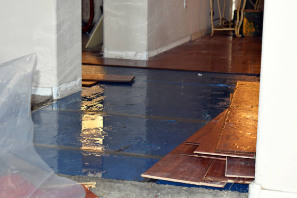 Professional Basement Water Removal technician working in Buchanan, ND