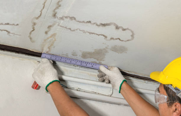 Reliable Basement Water Removal contractor in Buchanan, ND by Water Damage Irwin